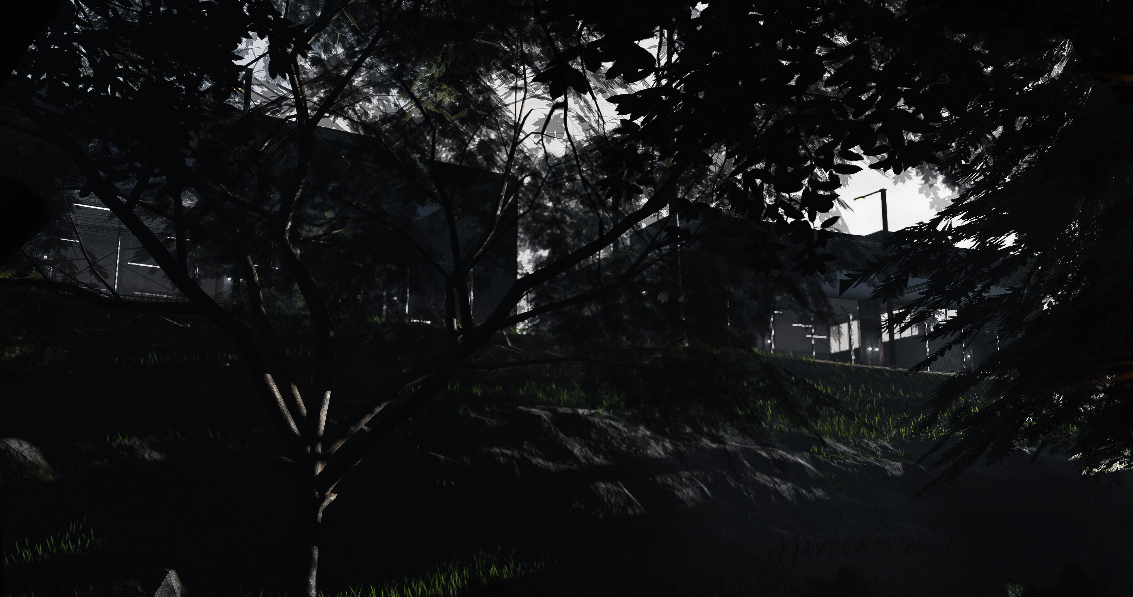 base_2024